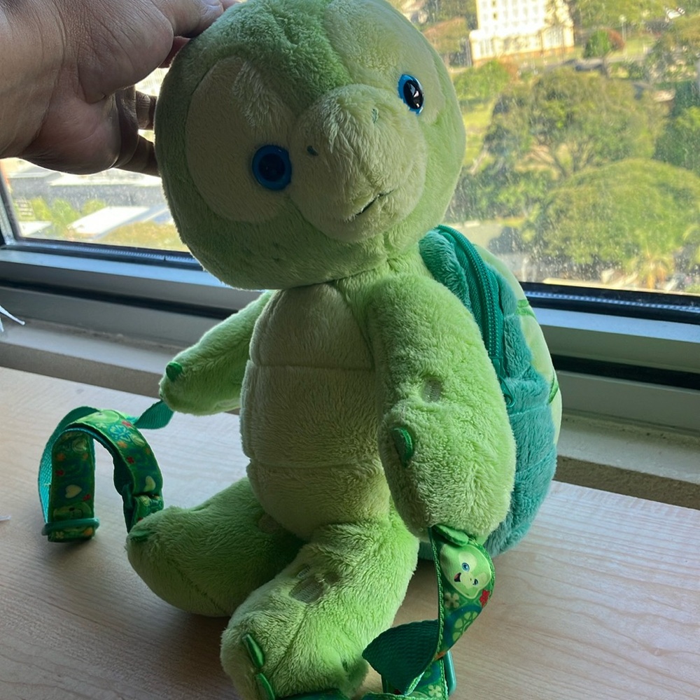 Turtle child backpack